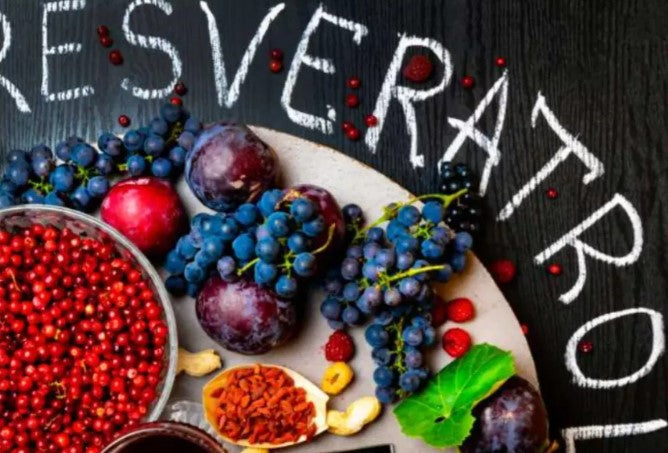 NAD + RESVERATROL